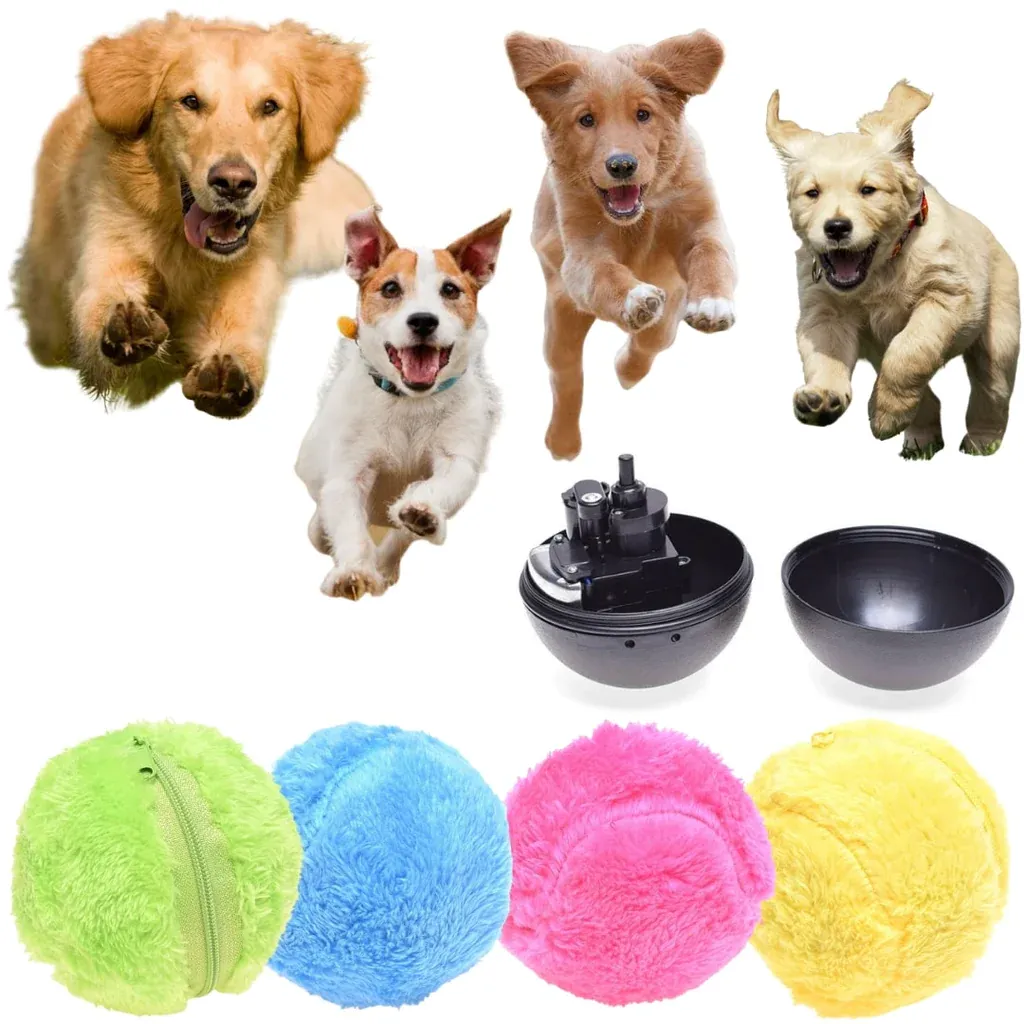 Popular collection showcasing top trending products